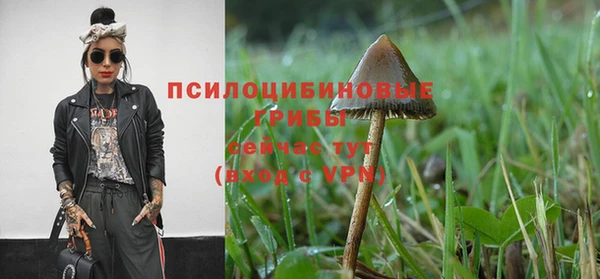 тгк Белоозёрский